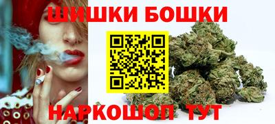 мяу мяу мука Гатчина