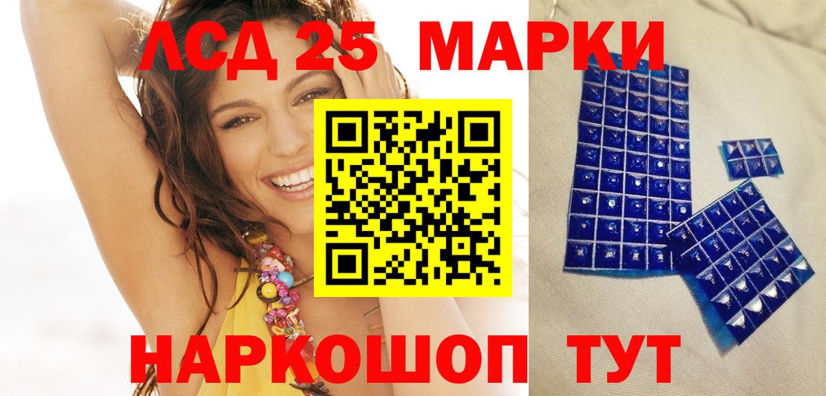 Галлюциногенные грибы Мурманск