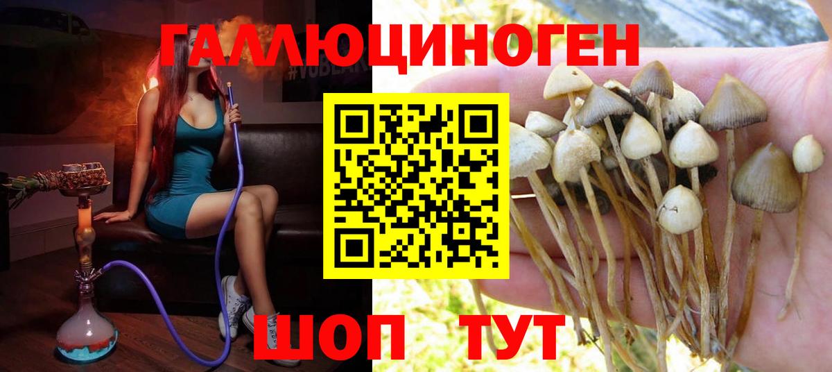 Псилоцибиновые грибы MAGIC MUSHROOMS Мурманск