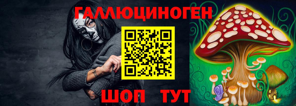 Мурманск  Галлюциногенные грибы Psilocybine cubensis  Псилоцибиновые грибы Psilocybine cubensis  сколько стоит  Вход с VPN 